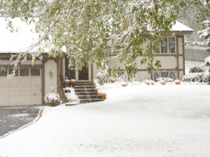 snow covered pumpkins!